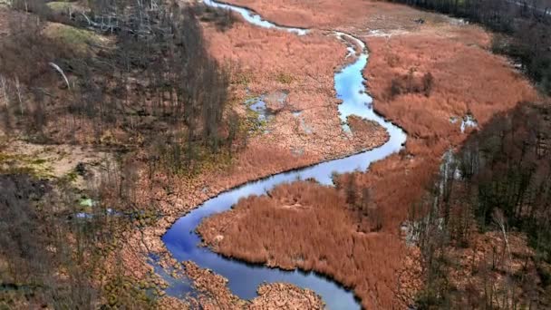 Braune Sümpfe und kleiner Fluss, Luftaufnahme — Stockvideo