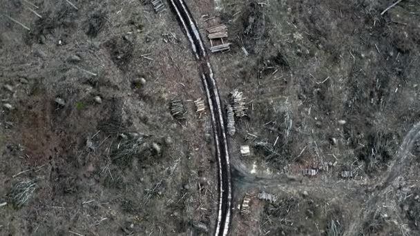 Landsväg mitt i en förstörd skog efter en orkan, utsikt från luften — Stockvideo