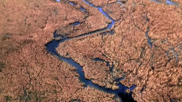 Blauwe kronkelende rivier en bruine moerassen, luchtfoto, Polen — Stockvideo