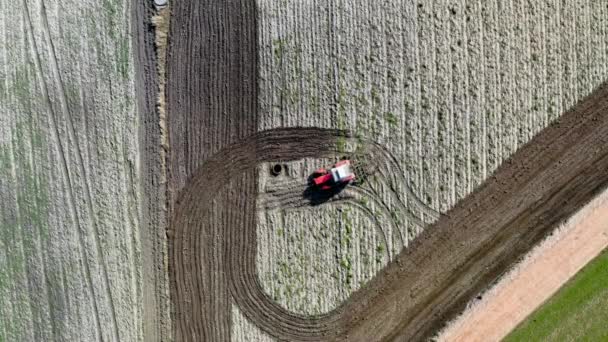 Roter Traktor pflügt Feld im Frühling, Luftaufnahme, Polen — Stockvideo