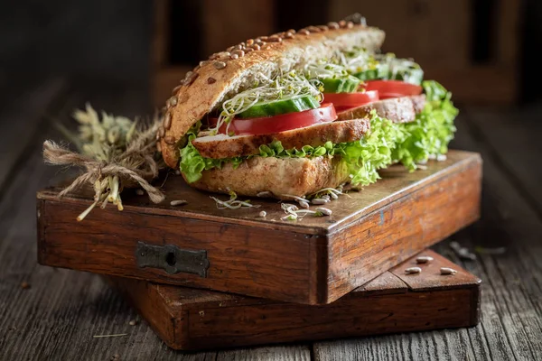 Ízletes szendvics grillezett csirkével, paradicsommal és uborkával — Stock Fotó