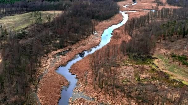 Річки та коричневі болота, повітряна думка, Польща — стокове відео