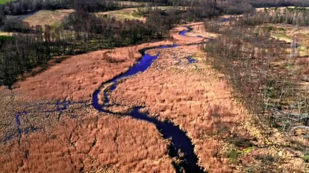 Luchtfoto van kronkelende rivier, Polen — Stockvideo