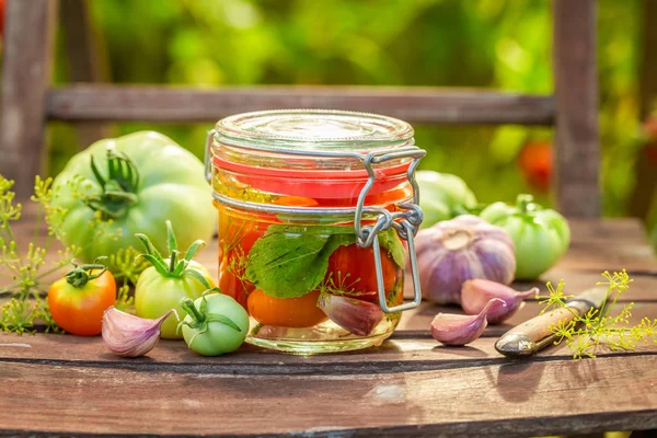 Close-up van gepekelde tomaten in kleine zomer kas — Stockfoto