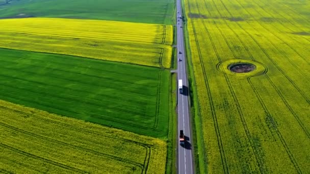 Перемещение автомобилей по скоростной дороге между рапсовыми полями, Польша — стоковое видео