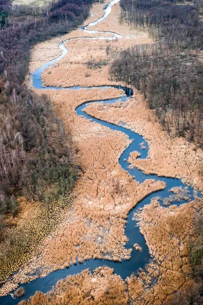 Flyga över slingrande floden och bruna träsk i Polen — Stockfoto