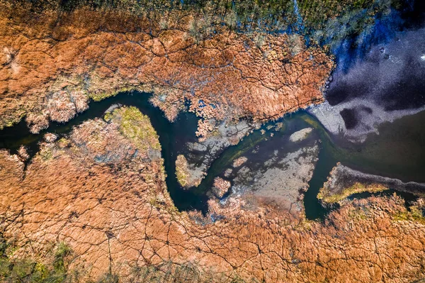 Fliegen über kleinen blauen Fluss und Sümpfe, Polen — Stockfoto
