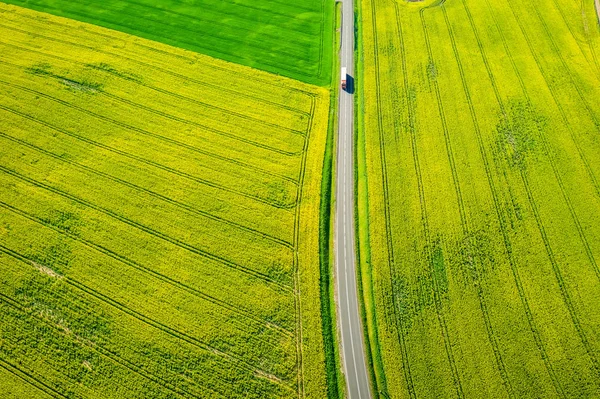 Voando acima de campos de estupro amarelo e verde em dia ensolarado — Fotografia de Stock