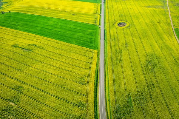 Voando sobre campos de estupro verdes e amarelos em dia ensolarado — Fotografia de Stock