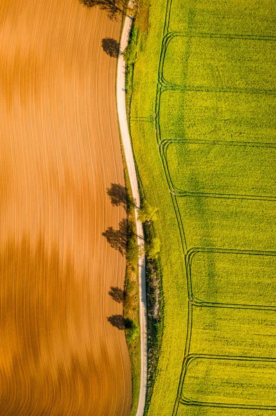 Campos verdes e amarelos de estupro no campo, vista aérea — Fotografia de Stock