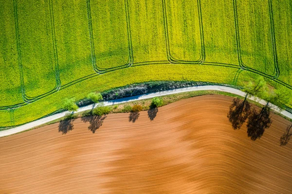 Žlutá a zelená pole znásilnění na venkově, letecký pohled — Stock fotografie