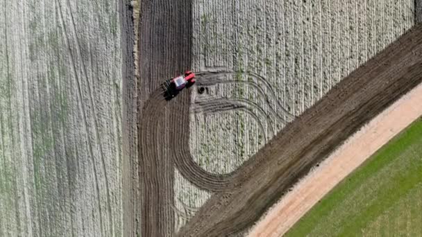 Червоний трактор оранка навесні поле в Польщі, вид з повітря — стокове відео