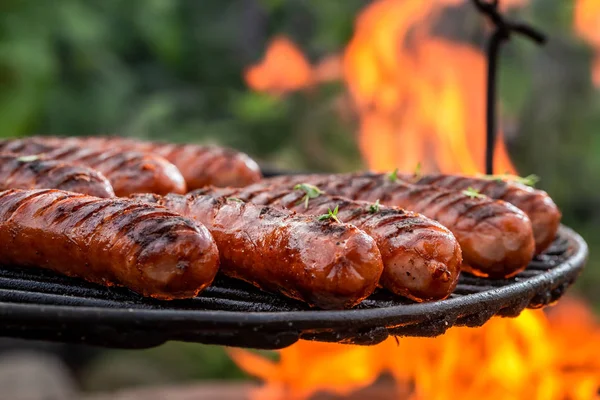 Sausage on grill with spices and herbs in summer — Stock Photo, Image