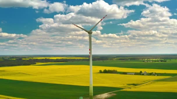 White wind turbine and yellow rape fields from above, Poland — Αρχείο Βίντεο