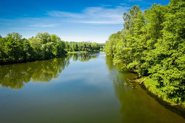 Vista superior del río y del bosque de verano — Foto de Stock