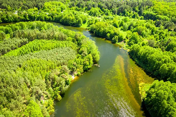 Kurvenreicher Fluss inmitten des Waldes, Blick von oben — Stockfoto