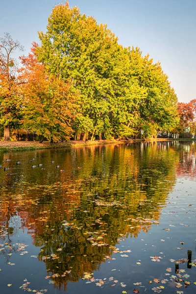 Árboles soleados y sorprendentes y río en el otoño, Polonia — Foto de Stock