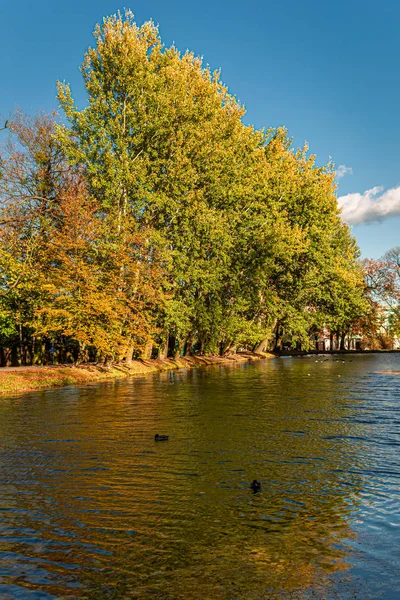 Impresionantes y coloridos árboles junto al río en otoño, Polonia — Foto de Stock