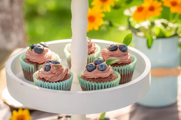 Pyszne muffinki czekoladowe z jagodami i śmietaną w letnim ogrodzie — Zdjęcie stockowe