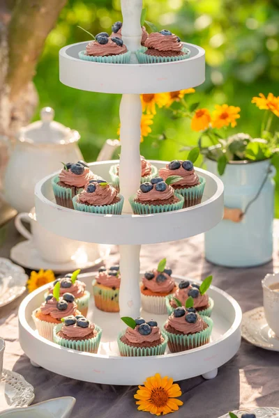 Brown cupcake made of berries and cream in summer garden — Stock Photo, Image