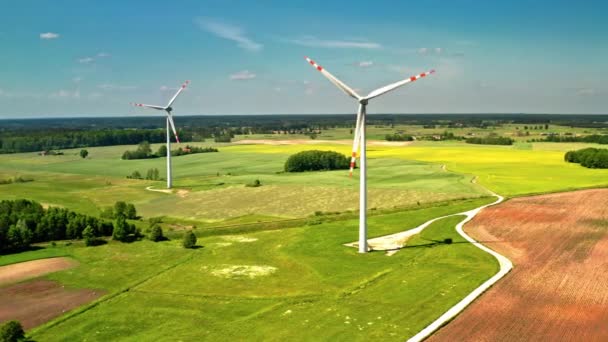 Duas Turbinas Eólicas Brancas Campo Verde Polônia Vista Cima — Vídeo de Stock