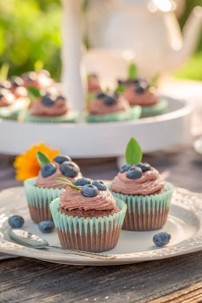 Brown cupcake made of cream and berries in summer garden — Stock Photo, Image