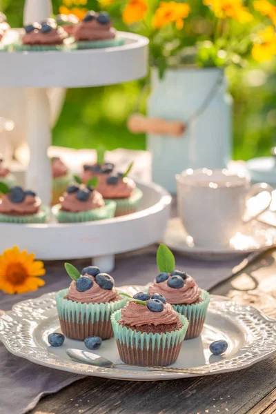 Fresh and tasty brown cupcake in summer garden — Stock Photo, Image