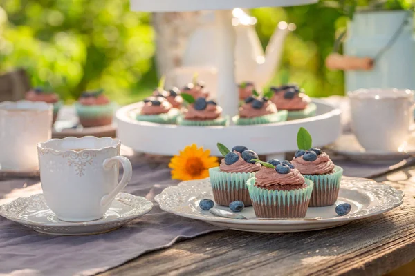 Delicioso y casero cupcake marrón en el jardín de verano — Foto de Stock