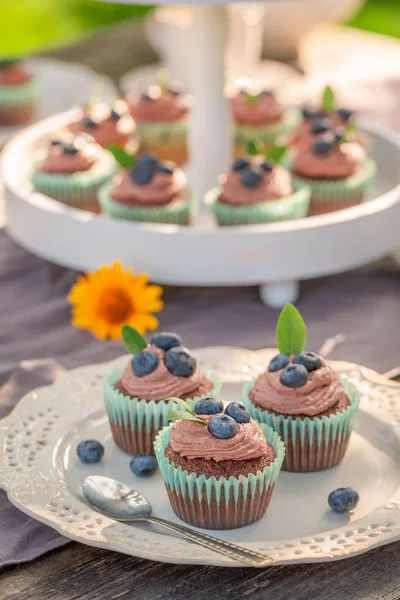 Tasty and fresh brown cupcake in summer garden — Stock Photo, Image