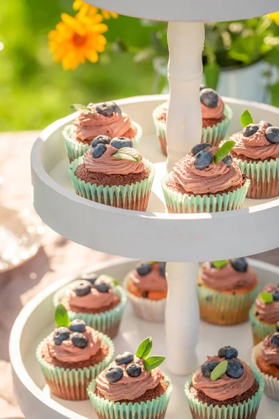 Homemade chocolate muffin served with coffee in summer garden — Stock Photo, Image