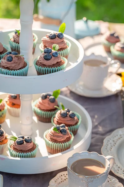 Chocolate muffin with blueberries and cream in summer garden — Stock Photo, Image