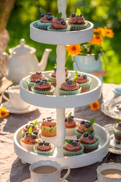 A lots of chocolate cupcakes in summer garden — Stock Photo, Image