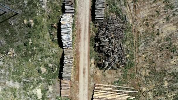 Deforestación como destrucción ambiental de la tierra, vista aérea — Vídeos de Stock