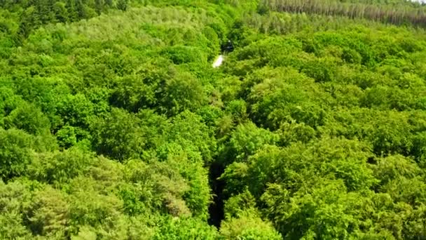 Luchtfoto van het groene woud in de zomer, Polen — Stockvideo