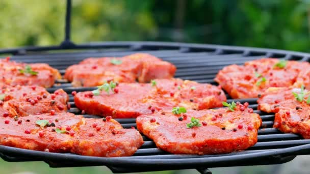 Fläsk nacke med kryddor på en varm grill med eld, Polen — Stockvideo