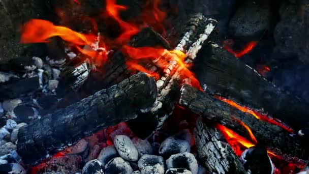 Close-up van hete kolen en hout in het kampvuur — Stockvideo