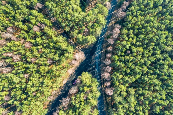 Cross roads in the middle of green woods, aerial view — Stock Photo, Image