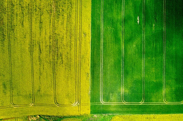 Campos de estupro verdes e amarelos na Polônia, de cima — Fotografia de Stock