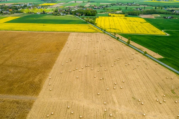 Field with hay sheaves from above, Poland — Stock Photo, Image