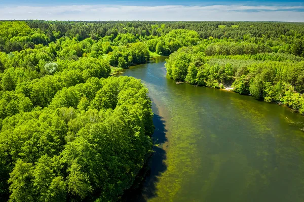 Vista superior do rio sinuoso entre a floresta, Polônia — Fotografia de Stock
