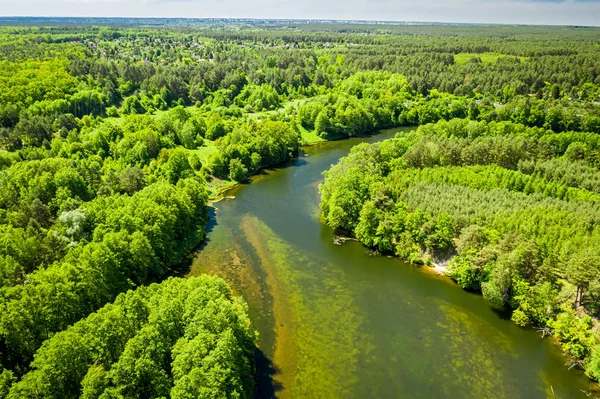 Sich windender Fluss inmitten des Waldes, Blick von oben, Polen — Stockfoto