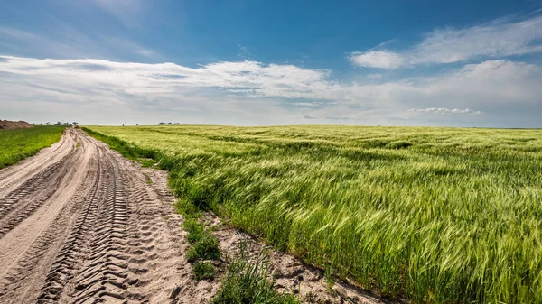 Заміська дорога і зелене поле в сонячний день — стокове фото