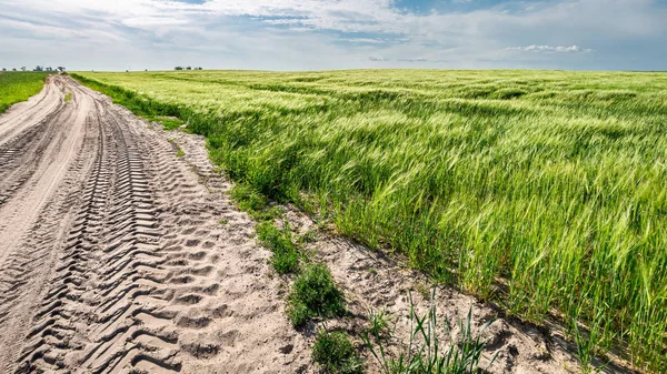 Road between green field in summer, Poland — Stock Photo, Image