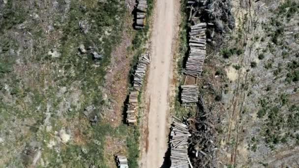 Vista aérea do desmatamento como destruição ambiental da terra — Vídeo de Stock