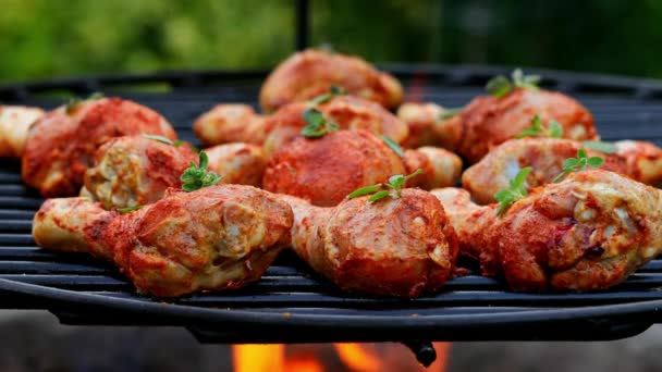 Würzige und schmackhafte Hühnerkeulen mit Gewürzen auf Grill im Garten — Stockvideo