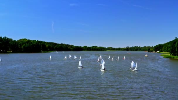 Εναέρια θέα της ιστιοπλοϊκό των μικρών σκαφών στη λίμνη το καλοκαίρι, Πολωνία — Αρχείο Βίντεο