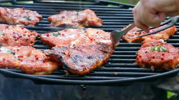 辛辣和美味的猪肉脖子与香料在热烧烤在夏季 — 图库视频影像