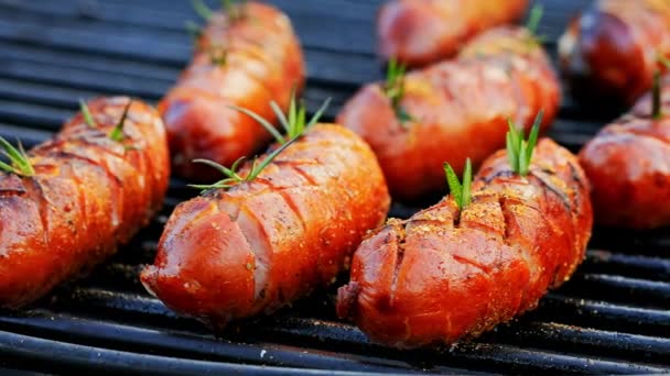 Salchicha deliciosa y picante a la parrilla con especias y hierbas en verano — Vídeo de stock