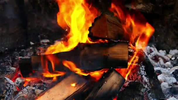 Close-up van hete kolen en hout in de zomerkamp vuur — Stockvideo