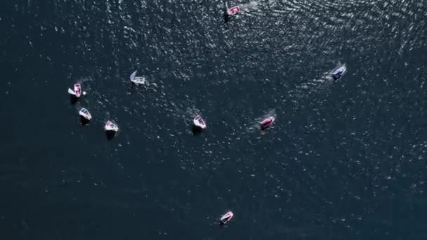 Маленькие лодки регата на озере в летнее время, вид с воздуха — стоковое видео
